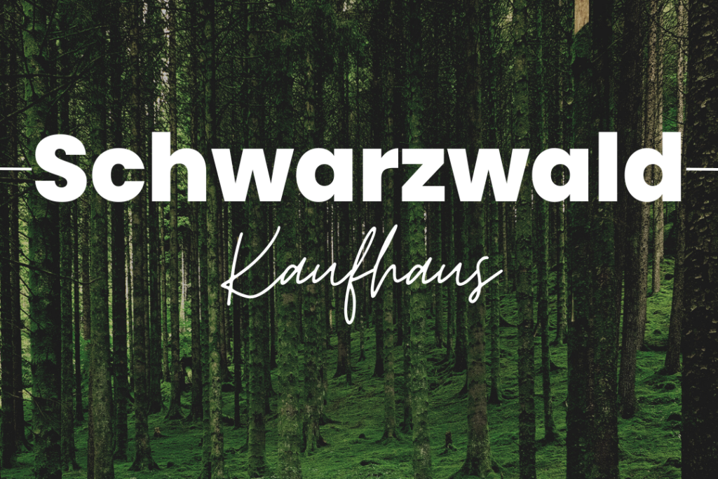 Den Weg vor lauter Bäume finden